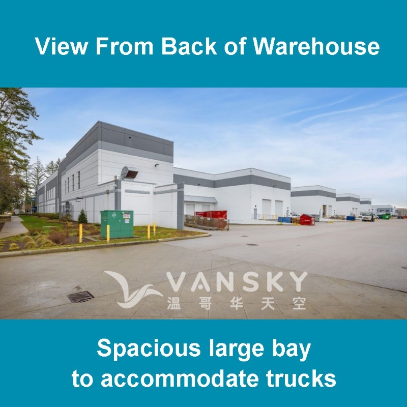 250617071536_6 back view.jpg